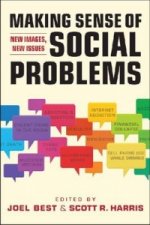 Making Sense of Social Problems