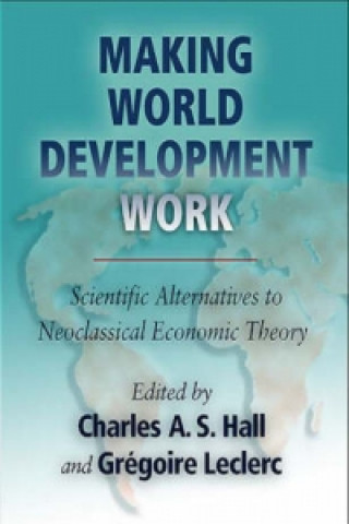 Making World Development Work