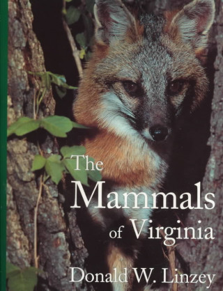 Mammals Of Virginia