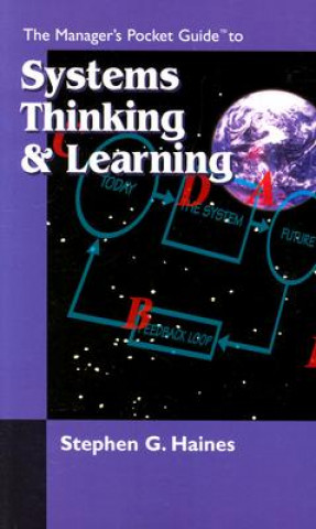Manager's Pocket Guide to Systems Thinking and Learning