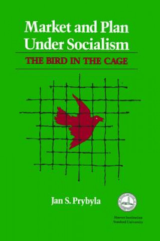 Market and Plan under Socialism