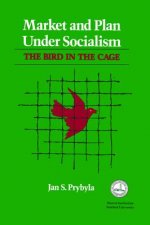 Market and Plan under Socialism