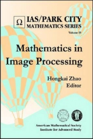 Mathematics in Image Processing