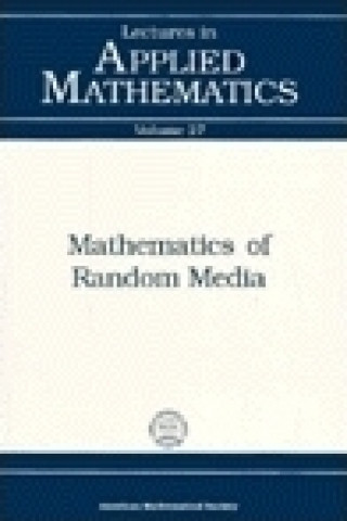 Mathematics of Random Media