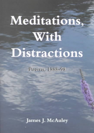 Meditations, with Distractions