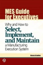 MES Guide for Executives