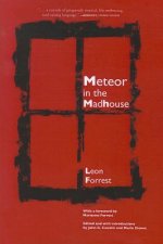 Meteor In The Madhouse
