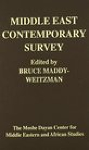 Middle East Contemporary Survey Vol XXIV