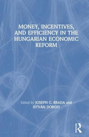 Money, Incentives and Efficiency in the Hungarian Economic Reform