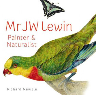 Mr JW Lewin, Painter &  Naturalist