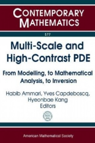 Multi-Scale and High-Contrast PDE