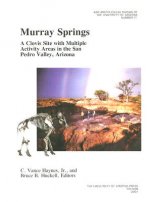 Murray Springs