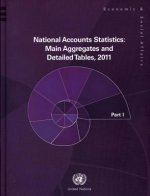 National accounts statistics 2011