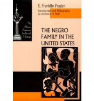 Negro Family in the United States