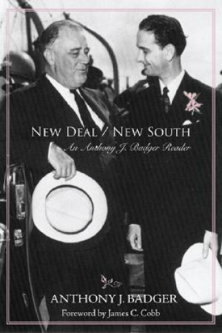 New Deal/New South
