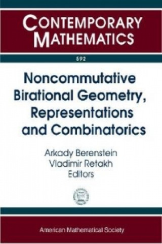 Noncommutative Birational Geometry, Representations and Combinatorics