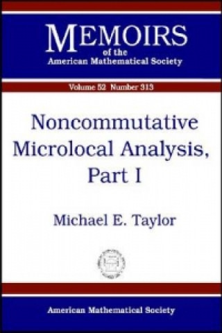 Noncommutative Microlocal Analysis, Part 1
