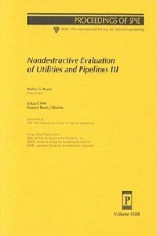 Nondestructive Evaluation of Utilities and Pipelines