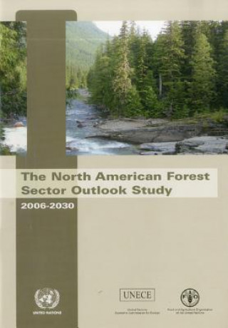 North American forest sector outlook study