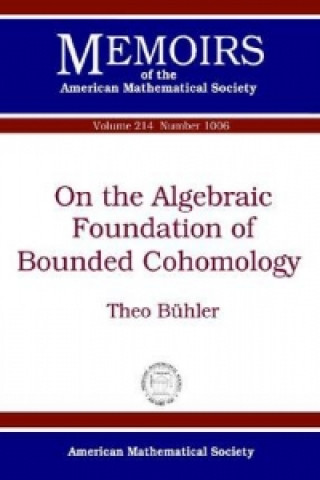 On the Algebraic Foundation of Bounded Cohomology
