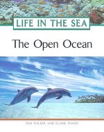 Open Ocean