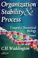 Organization Stability & Process