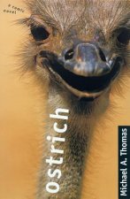 Ostrich