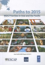 Paths to 2015
