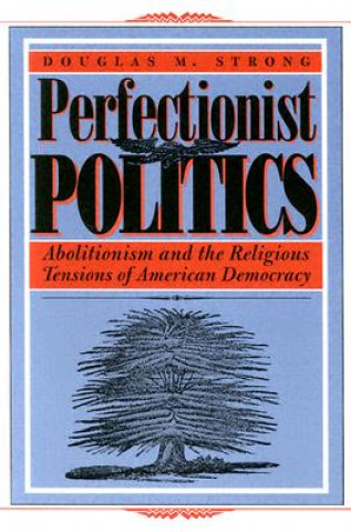 Perfectionist Politics