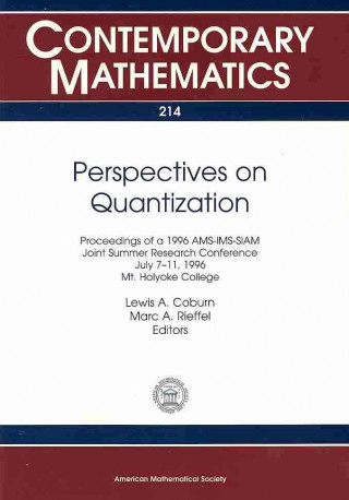 Perspectives on Quantization