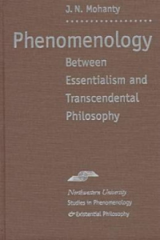 Phenomenology