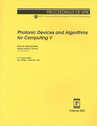 Photonic Devices and Algorithms for Computing