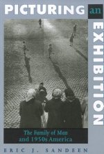 Picturing an Exhibition