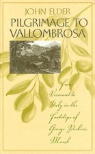 Pilgrimage to Vallombrosa