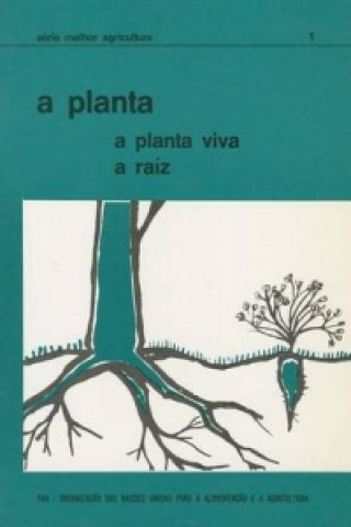 Planta