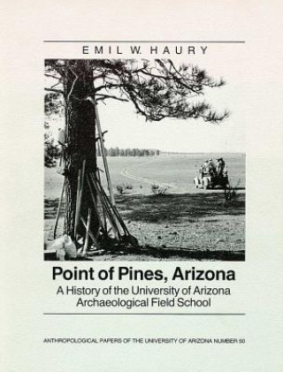 Point of Pines, Arizona