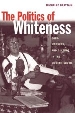 Politics of Whiteness