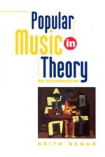 Popular Music in Theory