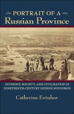 Portrait of a Russian Province