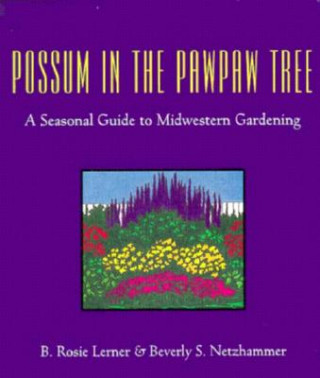 Possum in the Pawpaw Tree