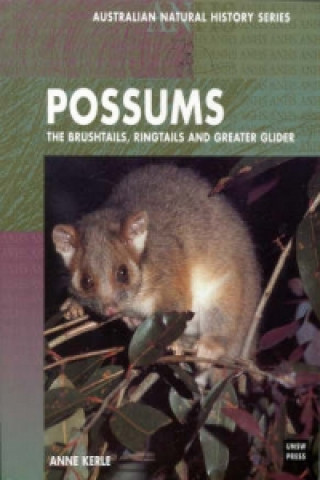 Possums