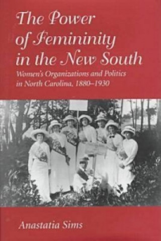 Power of Femininity in the New South