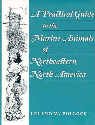 Practical Guide to the Marine Animals of Northeastern North America