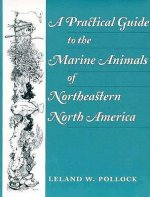 Practical Guide to the Marine Animals of Northeastern North America