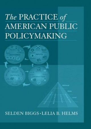 Practice of American Public Policymaking