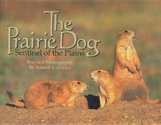 Prairie Dog