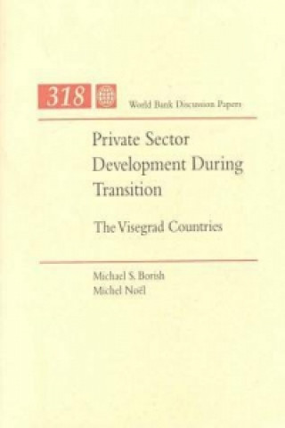 Private Sector Development during Transition