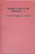 Probabilistic Approach To Geometry