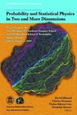 Probability and Statistical Physics in Two and More Dimensions