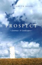 Prospect